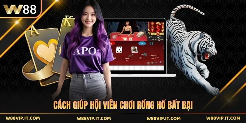Cách giúp hội viên chơi rồng hổ bất bại