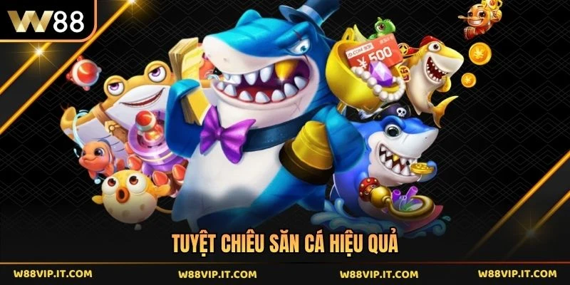 Tuyệt chiêu săn cá hiệu quả