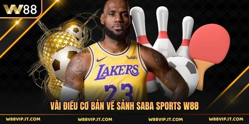 Vài điều cơ bản về sảnh Saba sports W88 
